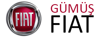 Gümüş fiat çıkma parça